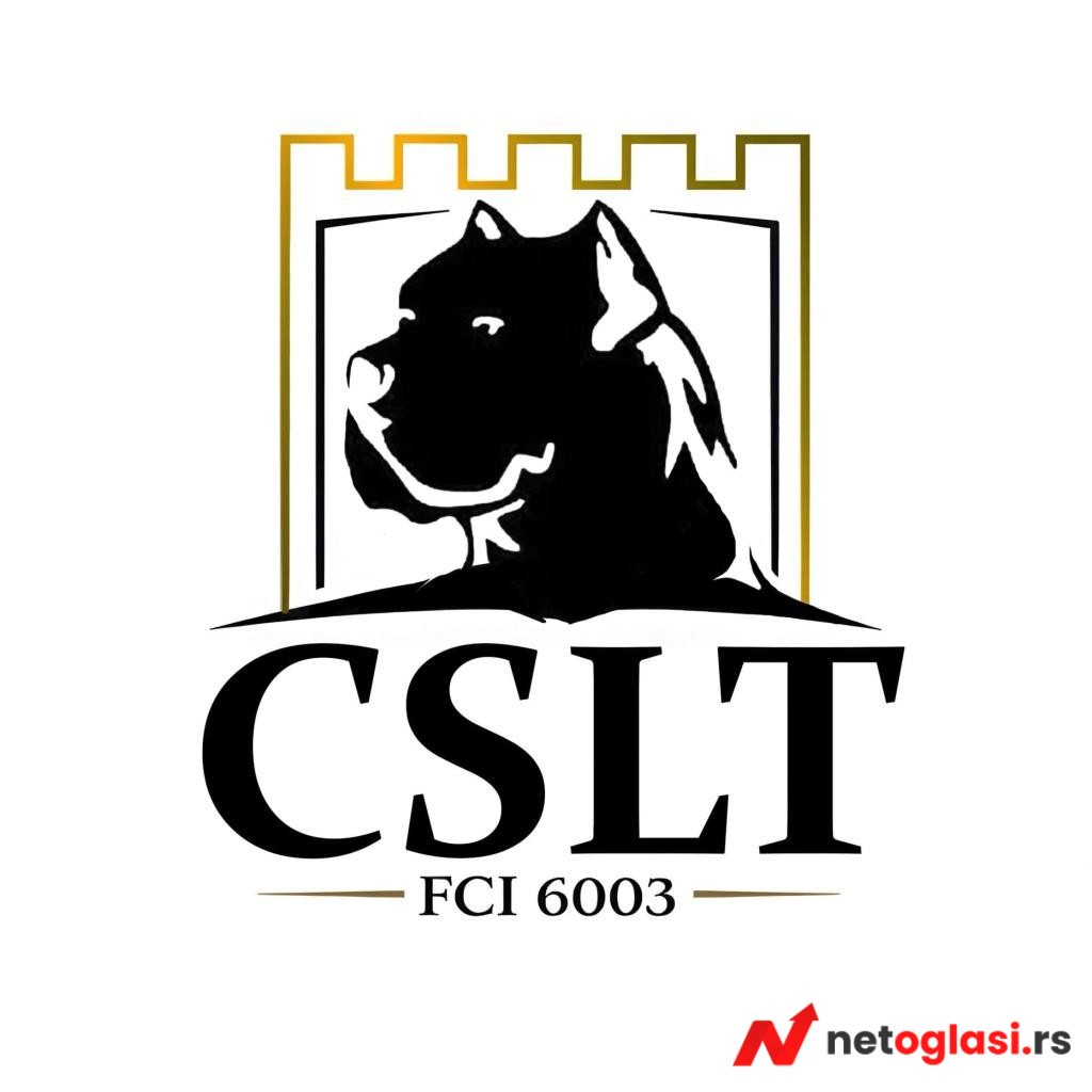 Cane Corso stenci