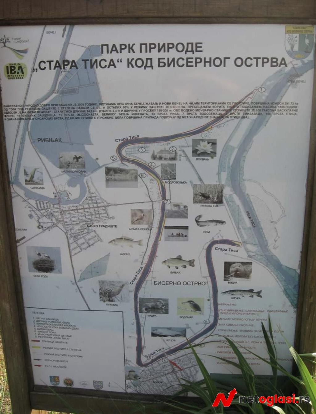 Vikendica Curug Biserno ostrvo